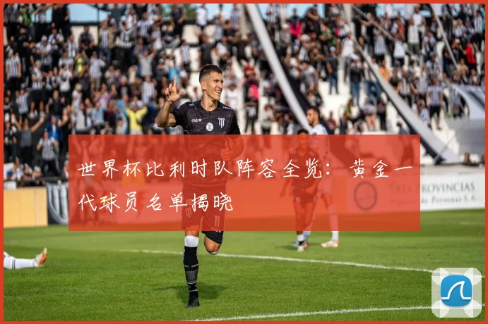 世界杯比利时队阵容全览：黄金一代球员名单揭晓