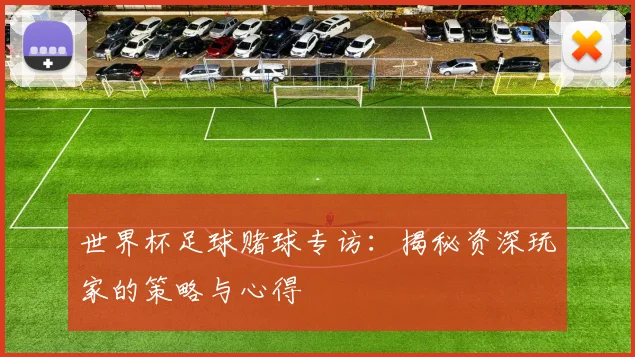世界杯足球赌球专访：揭秘资深玩家的策略与心得