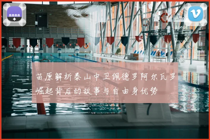 苗原解析泰山中卫佩德罗阿尔瓦罗崛起背后的故事与自由身优势