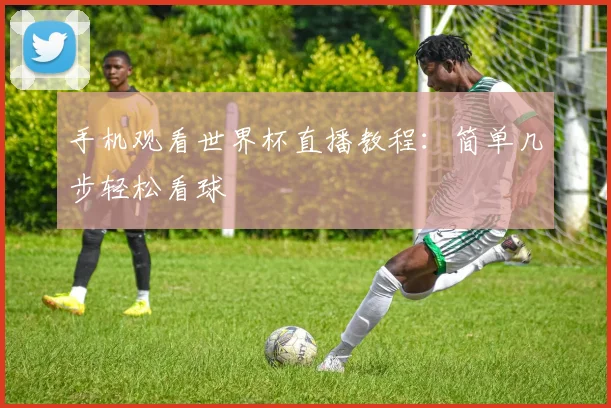 手机观看世界杯直播教程：简单几步轻松看球